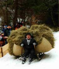 A toboggan evening Austria