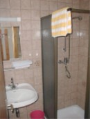 The Bathroom with shower and WS